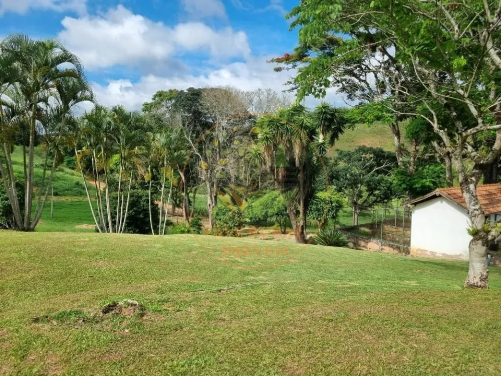 Fazenda, 415 hectares - Foto 7