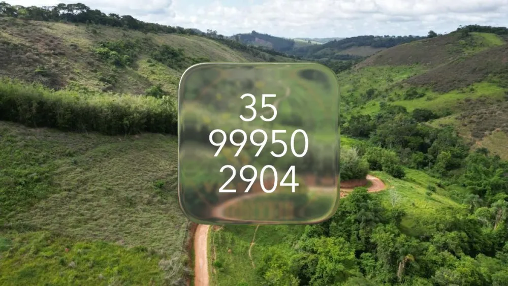 Fazenda, 415 hectares - Foto 2