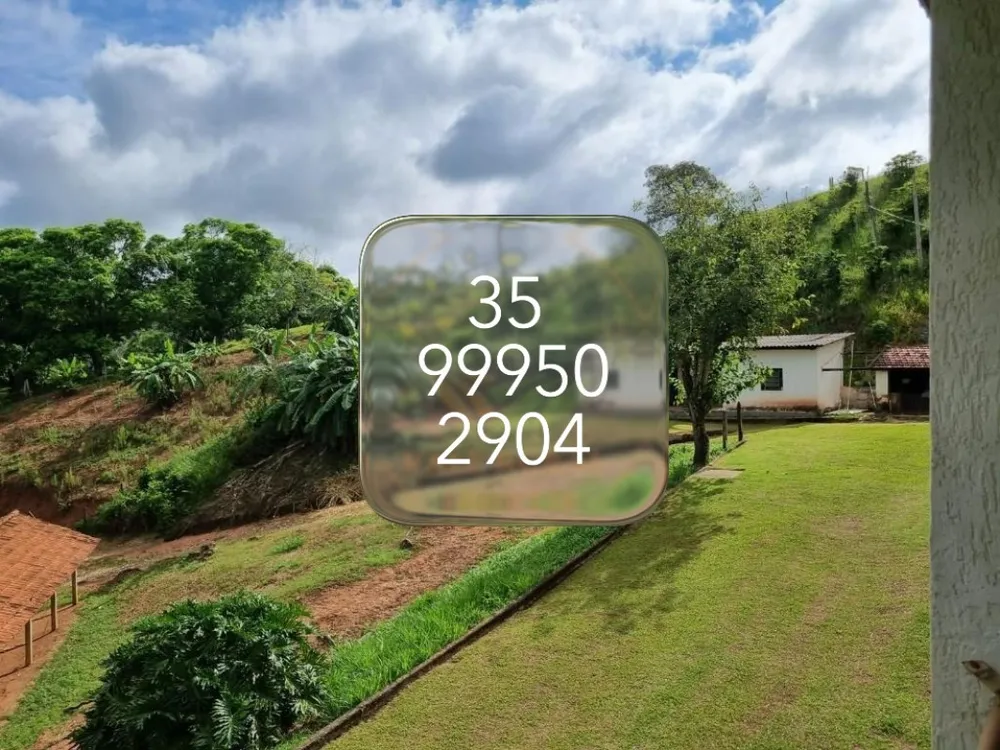 Fazenda, 415 hectares - Foto 6
