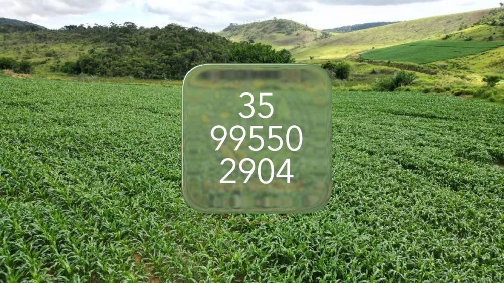 Fazenda, 415 hectares - Foto 3
