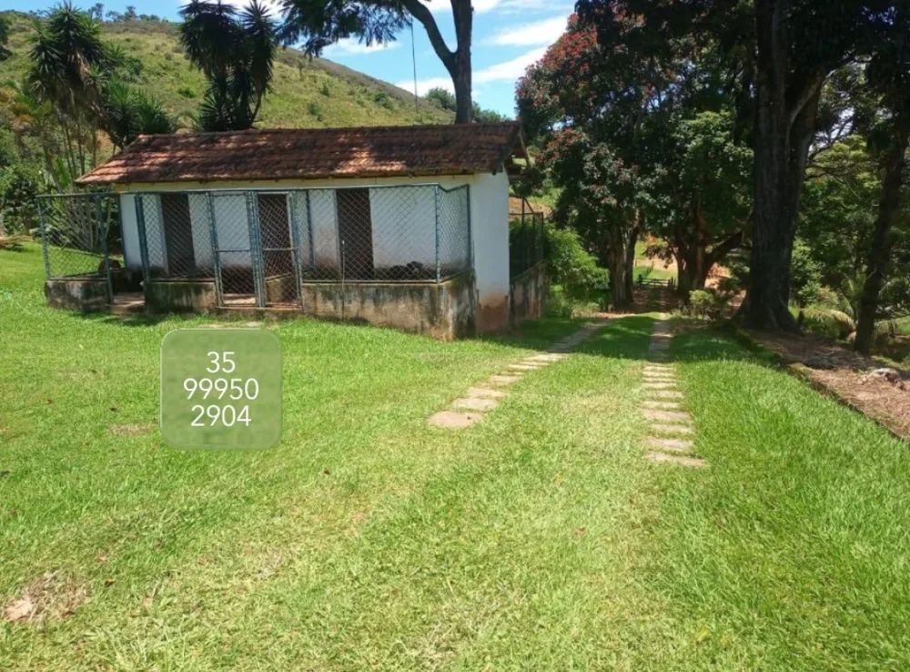 Fazenda, 415 hectares - Foto 9