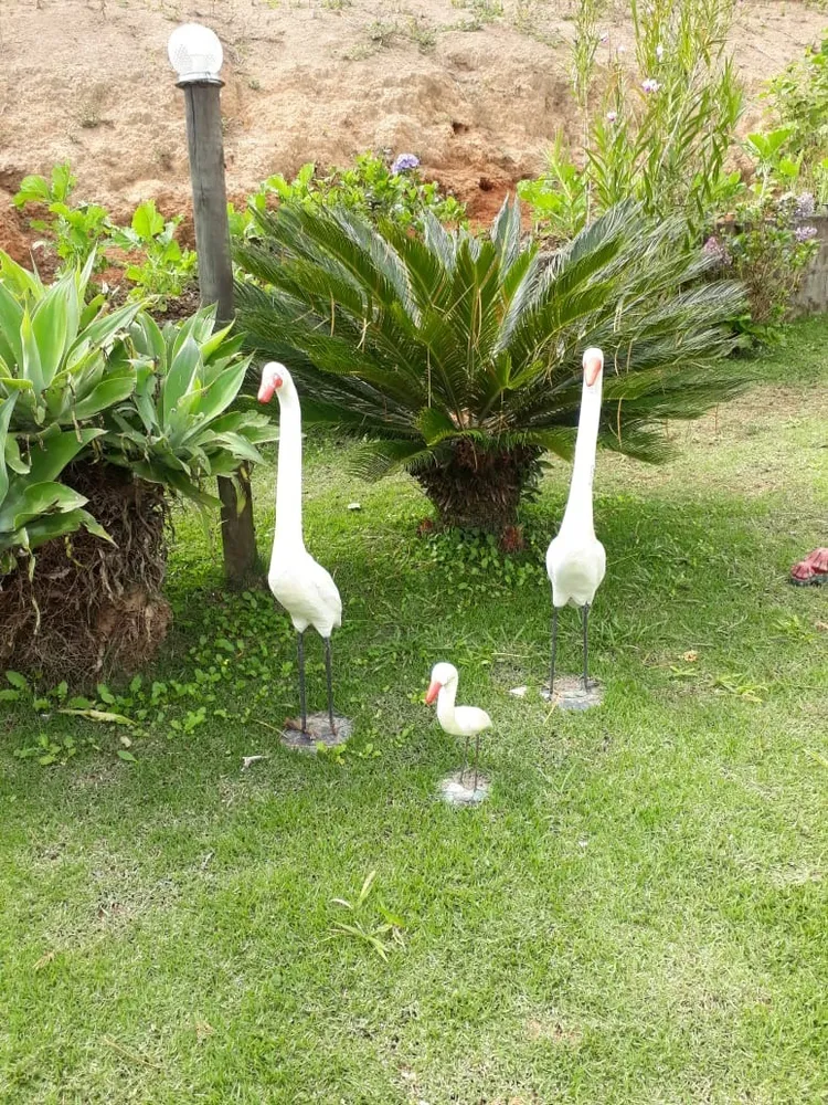 Chácara, 4 quartos, 5 hectares - Foto 4