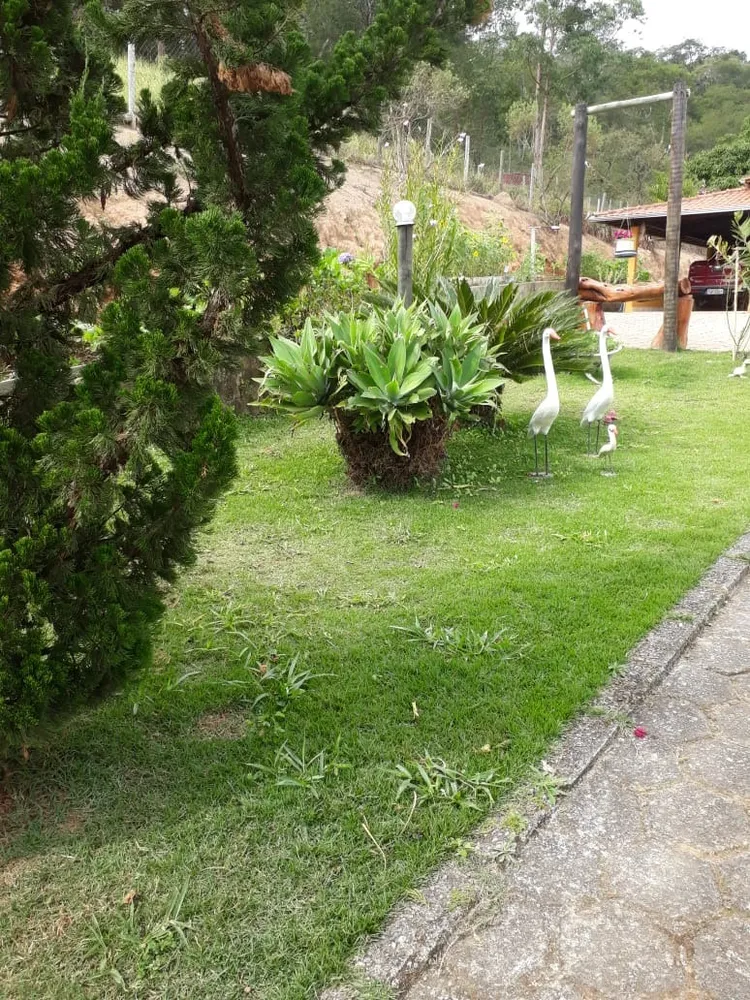 Chácara, 4 quartos, 5 hectares - Foto 7
