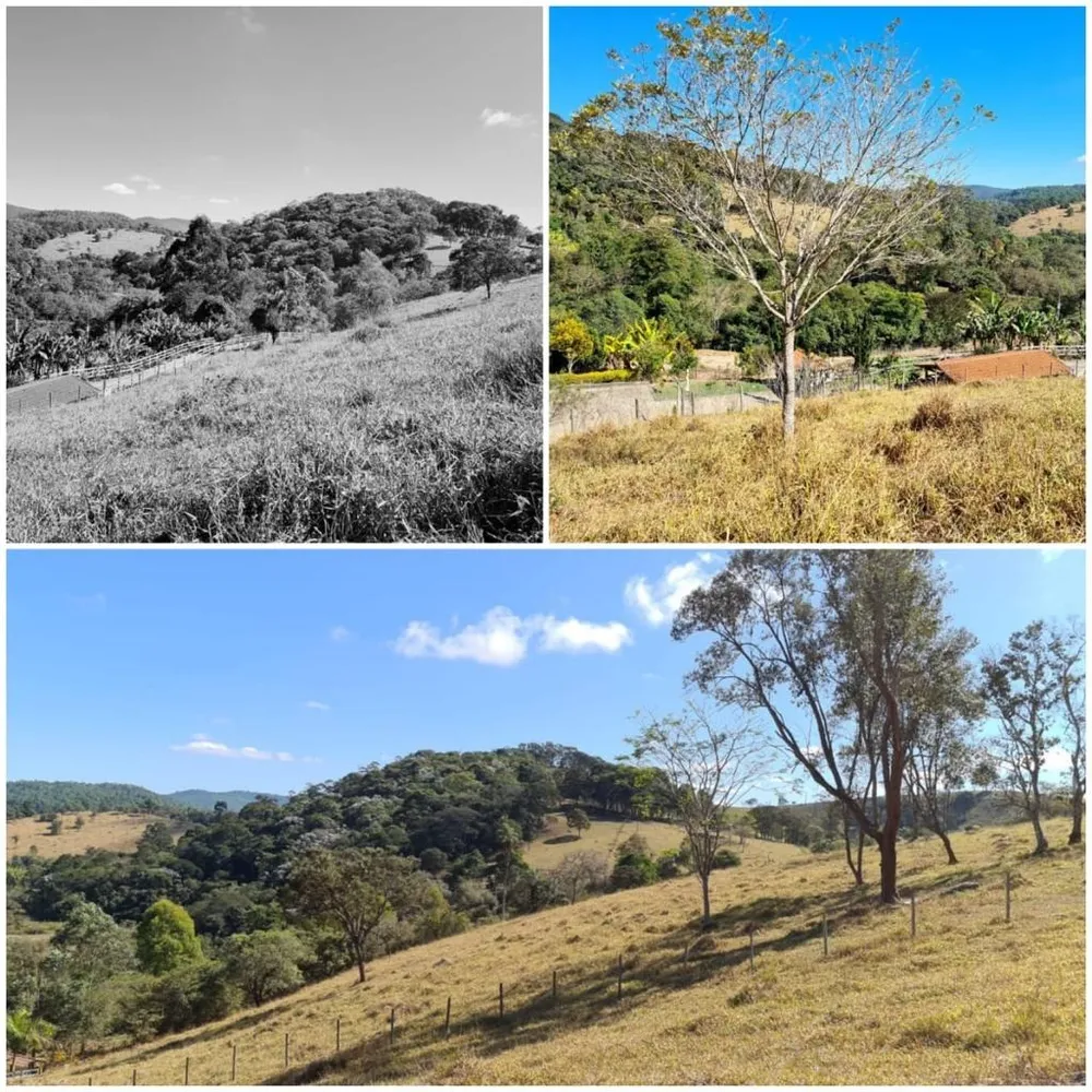Chácara, 4 quartos, 5 hectares - Foto 1
