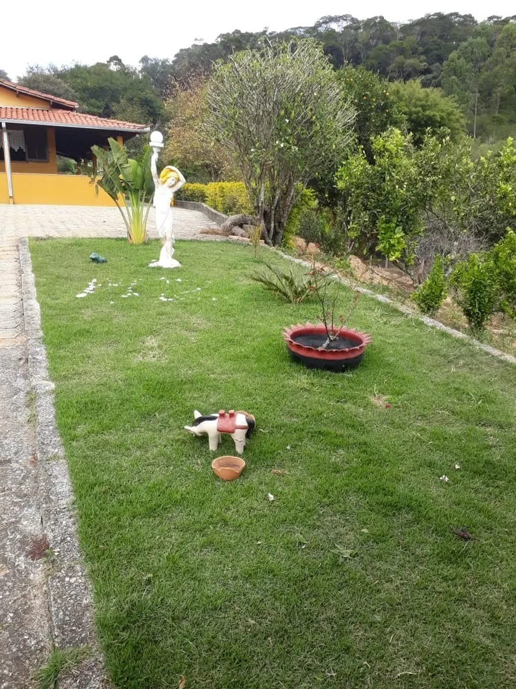 Chácara, 4 quartos, 5 hectares - Foto 8