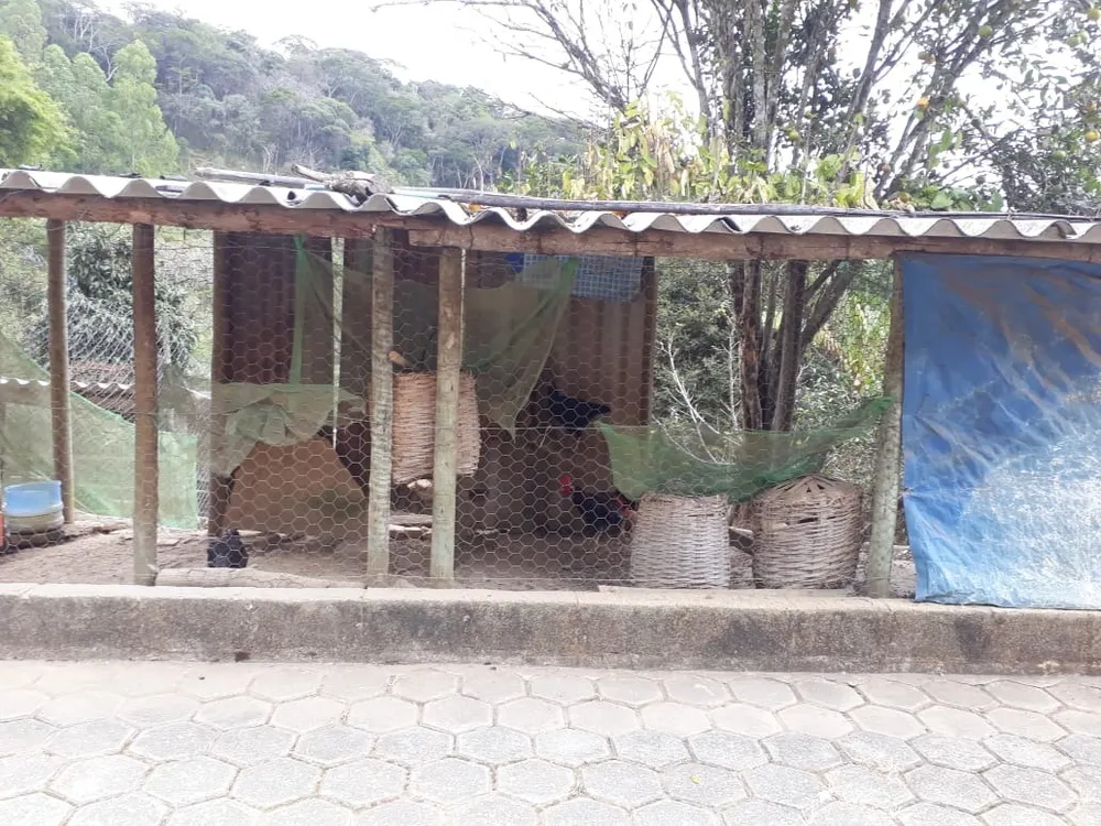 Sítio, 4 quartos, 5 hectares - Foto 7