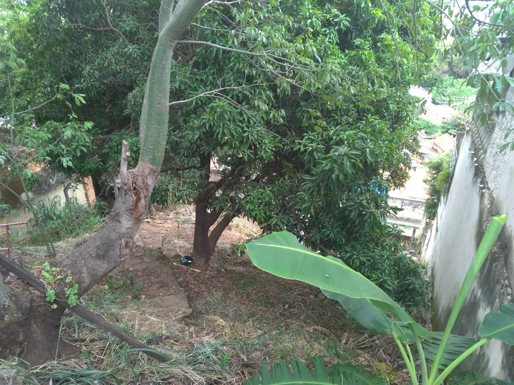 Terreno, 336 m² - Foto 1