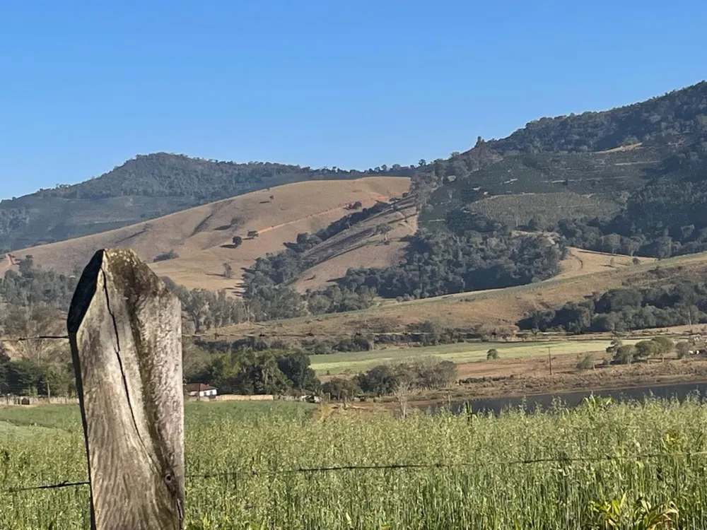 Fazenda, 420 hectares - Foto 6