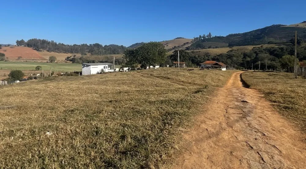 Fazenda, 420 hectares - Foto 11