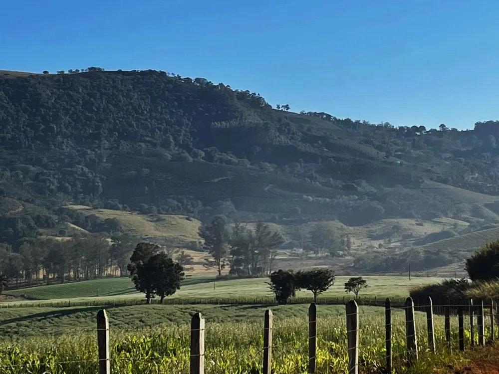 Fazenda, 420 hectares - Foto 4