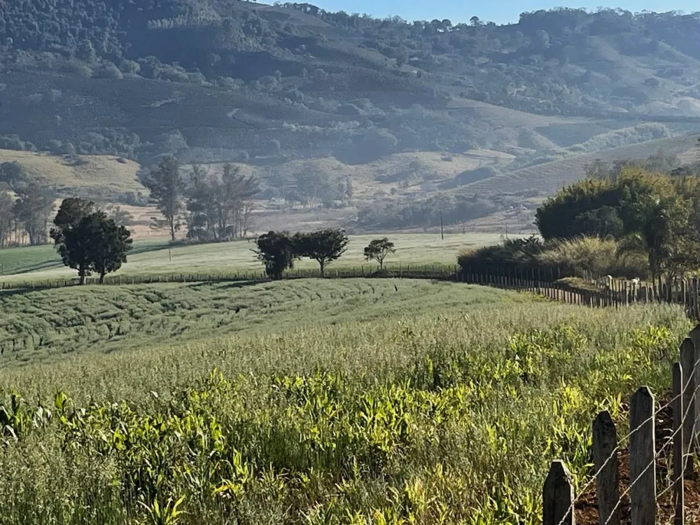 Fazenda, 420 hectares - Foto 6