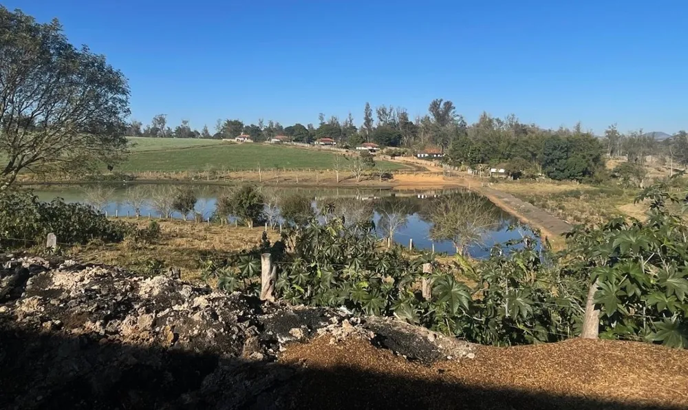 Fazenda, 420 hectares - Foto 13