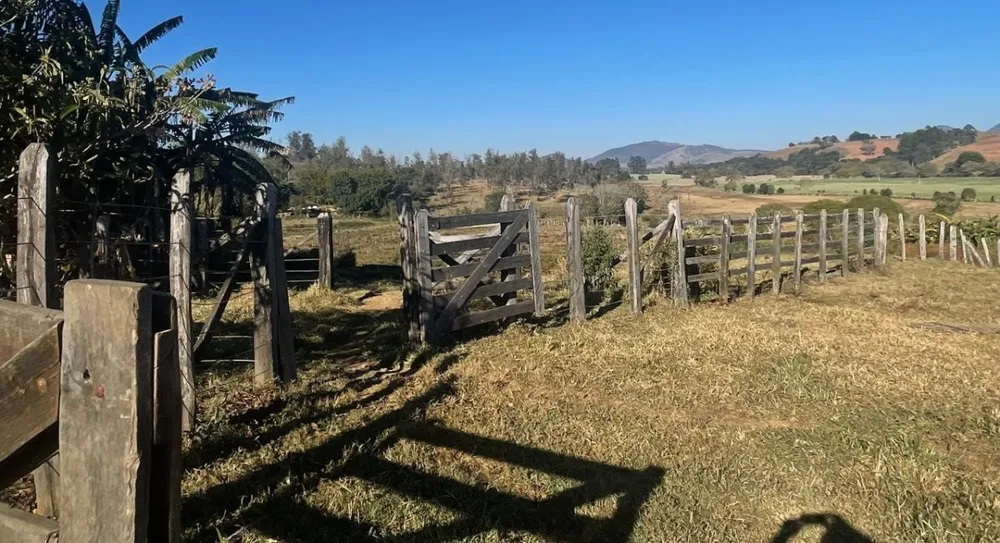 Fazenda, 420 hectares - Foto 14