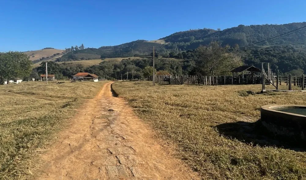 Fazenda, 420 hectares - Foto 4