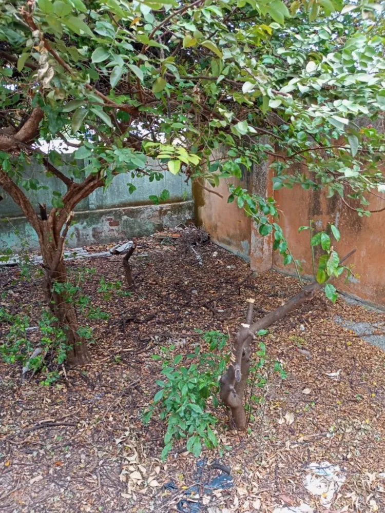 Casa, 2 quartos, 180 m² - Foto 12