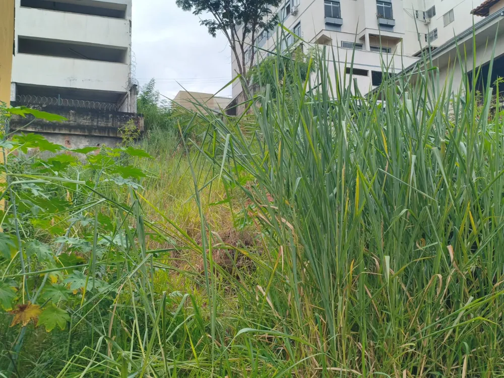 Terreno, 420 m² - Foto 8