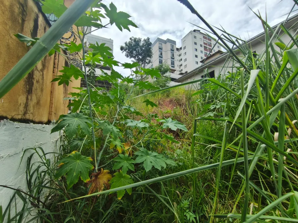 Terreno, 420 m² - Foto 9