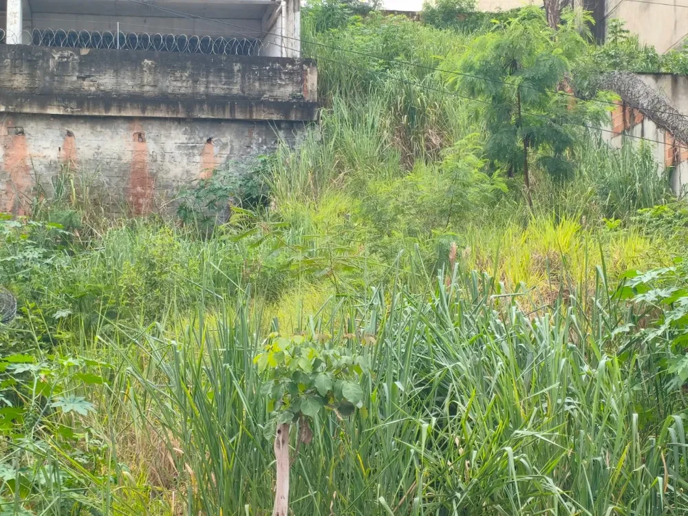 Terreno, 420 m² - Foto 4