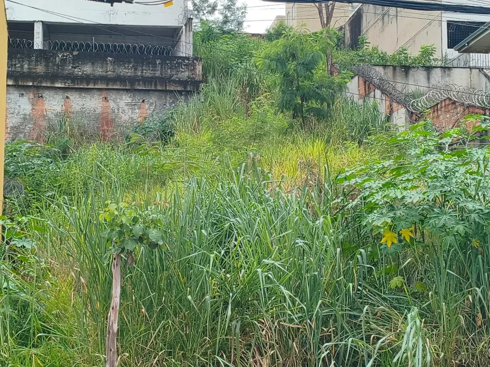 Terreno, 420 m² - Foto 3