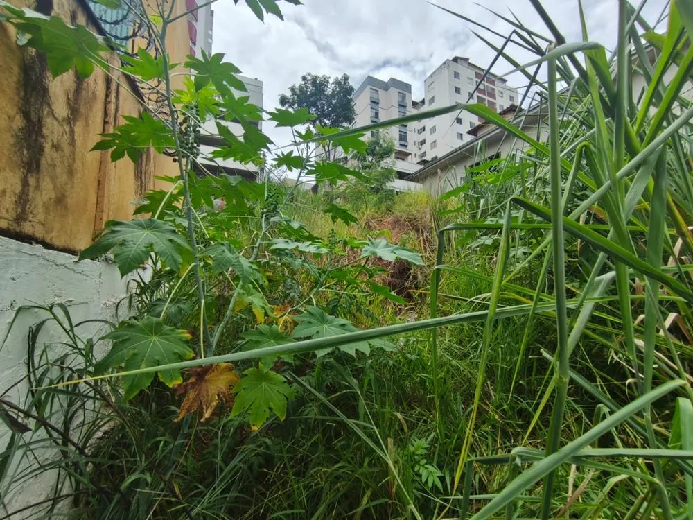 Terreno, 420 m² - Foto 10
