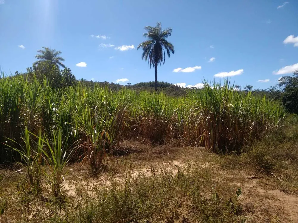 Fazenda, 130 m² - Foto 8