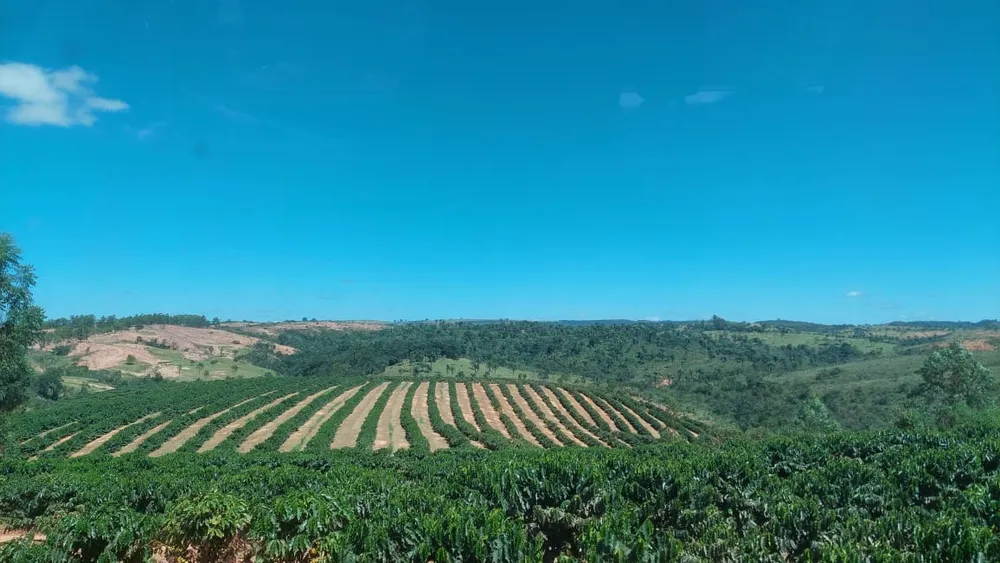 Fazenda, 149 hectares - Foto 4