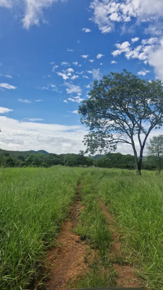 Fazenda, 1 quarto - Foto 4