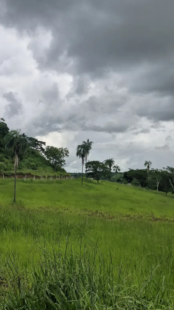 Fazenda, 1 quarto - Foto 13