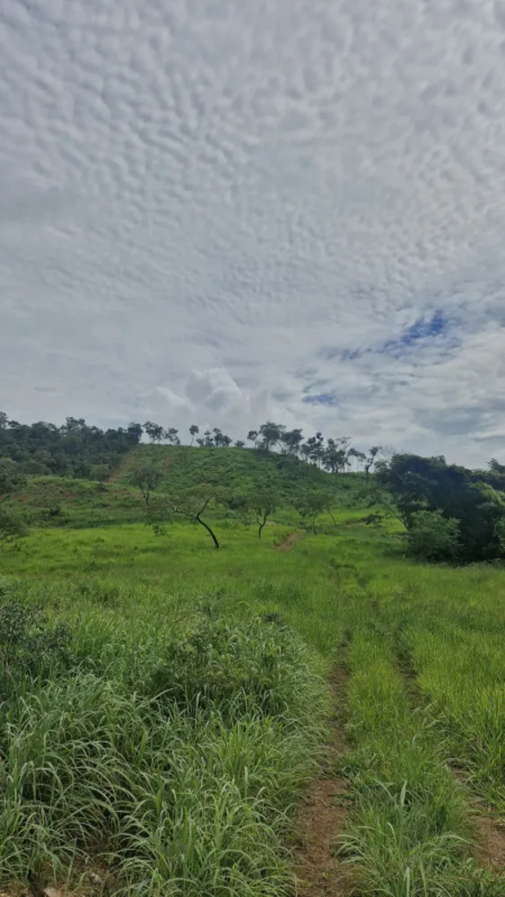 Fazenda, 1 quarto - Foto 16