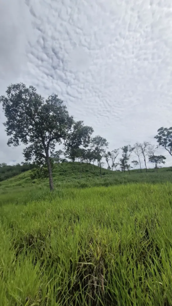 Fazenda, 1 quarto - Foto 7