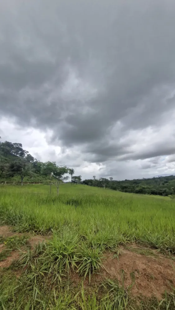 Fazenda, 1 quarto - Foto 10