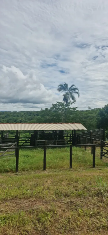 Fazenda, 1 quarto - Foto 20