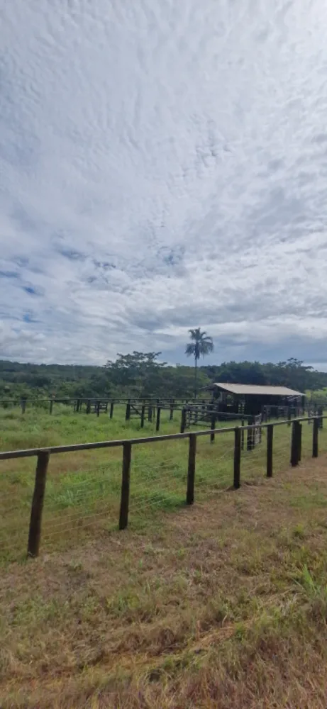 Fazenda, 1 quarto - Foto 18