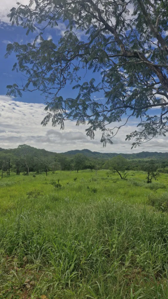 Fazenda, 1 quarto - Foto 6