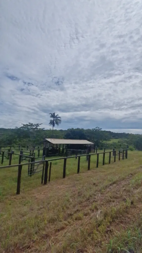 Fazenda, 1 quarto - Foto 3