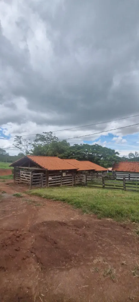 Fazenda, 1 quarto - Foto 19