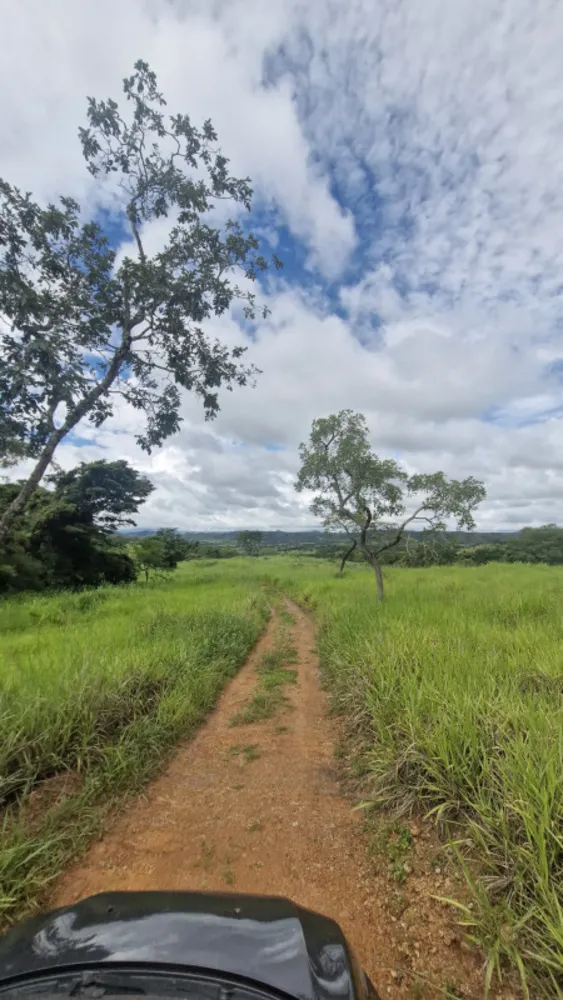 Fazenda, 1 quarto - Foto 15