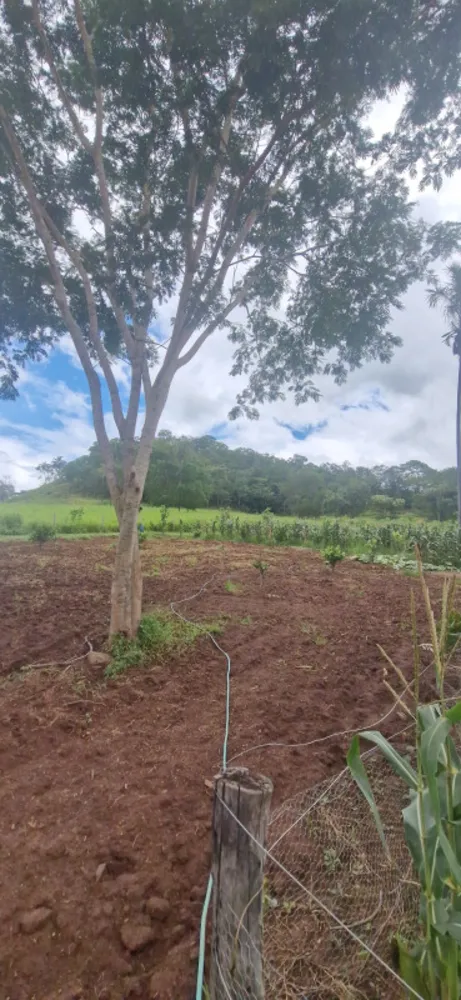 Fazenda, 1 quarto - Foto 2