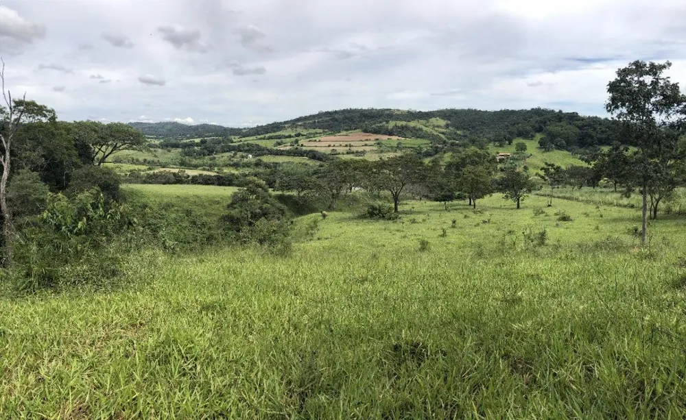 Sítio, 3 quartos, 12 hectares - Foto 4