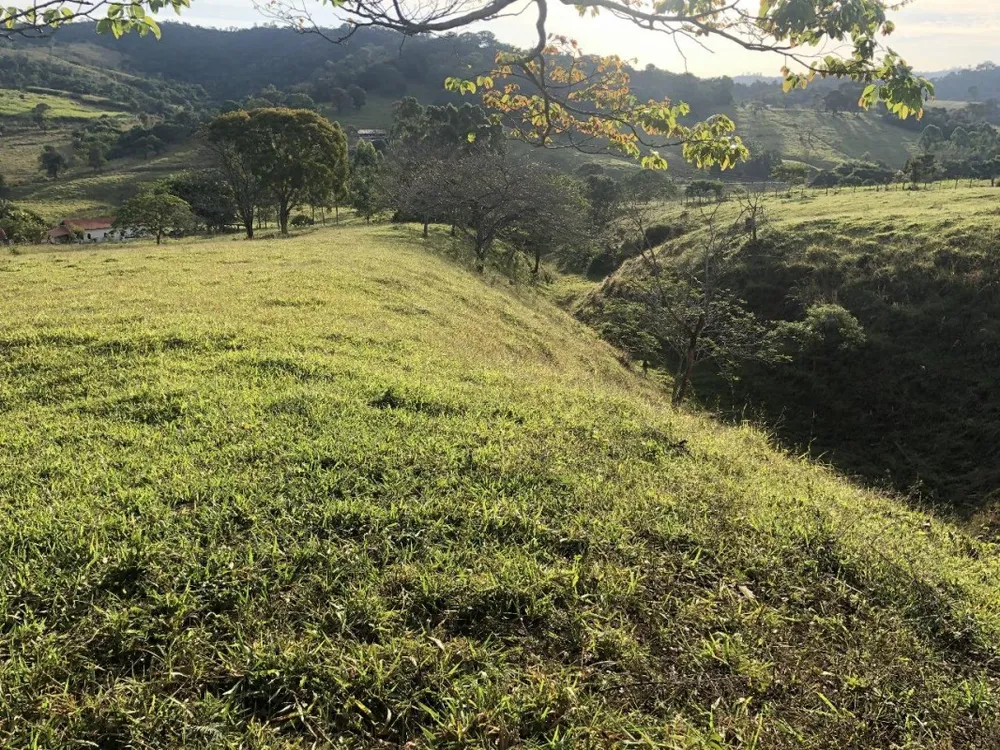 Sítio, 3 quartos, 12 hectares - Foto 13