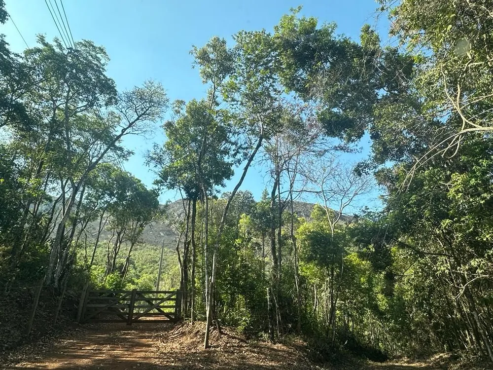 Terreno, 20000 m² - Foto 8