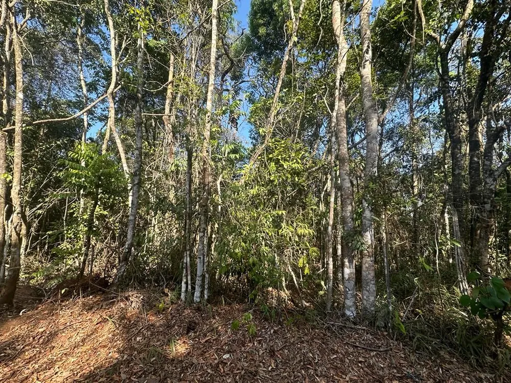 Terreno, 20000 m² - Foto 10