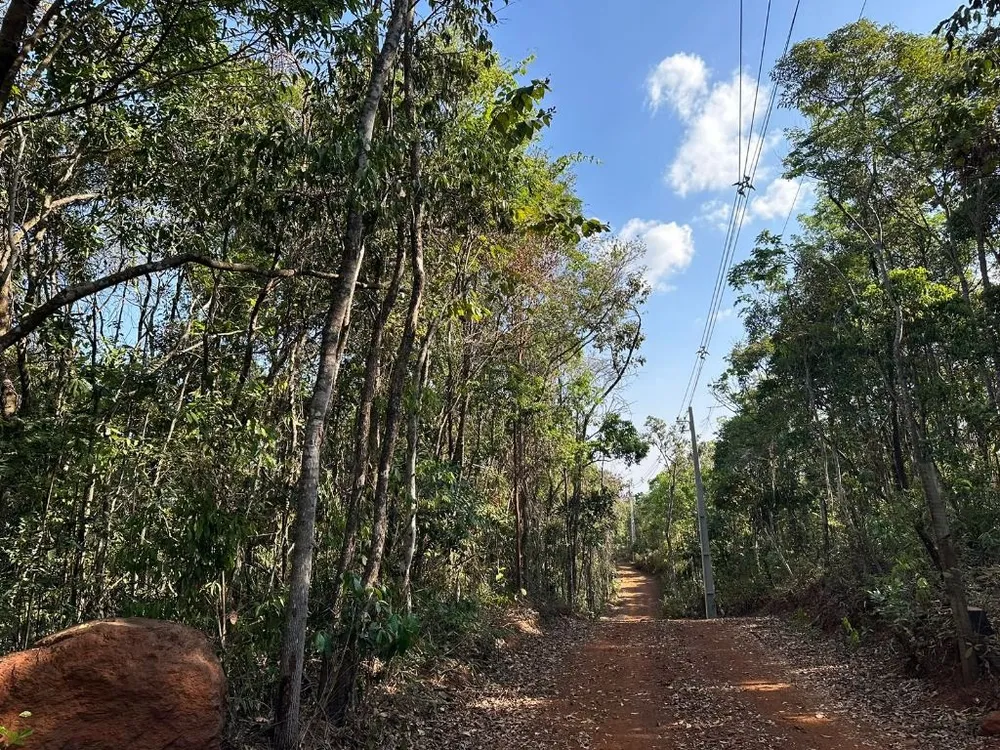 Terreno, 20000 m² - Foto 1
