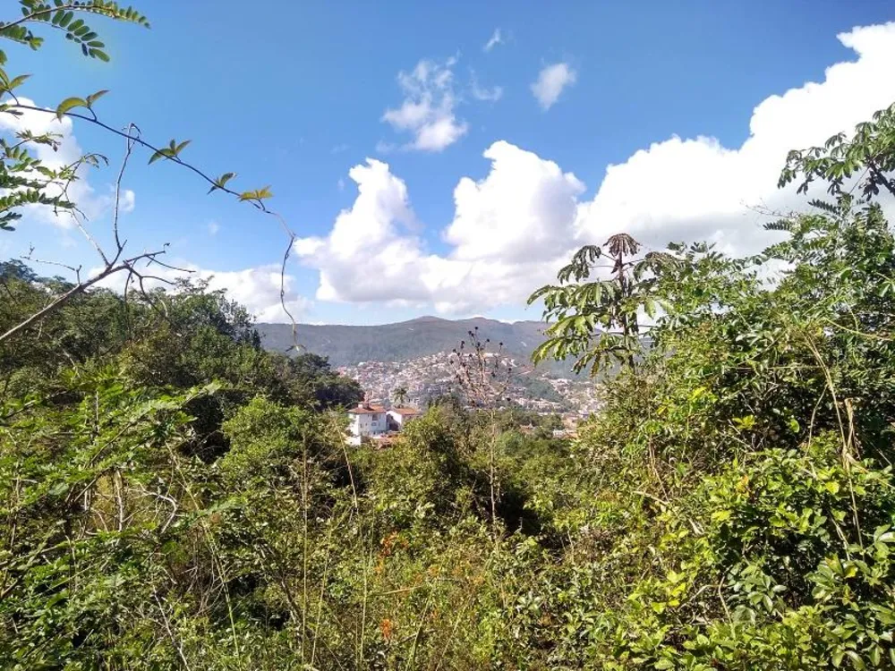 Terreno, 360 m² - Foto 10