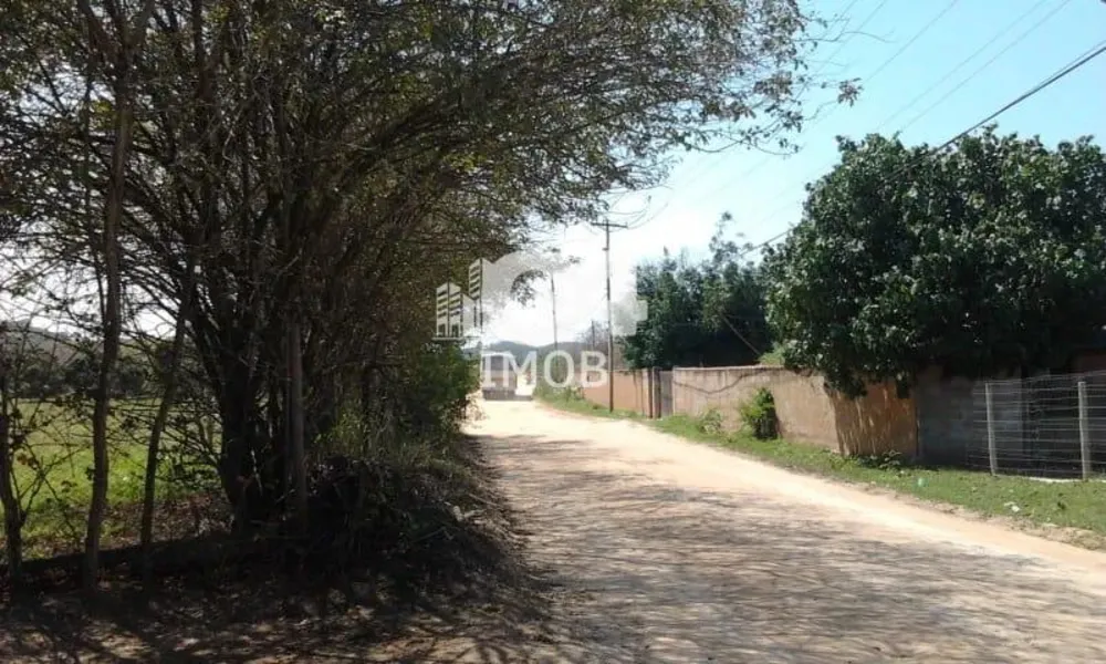 Terreno, 2 hectares - Foto 4