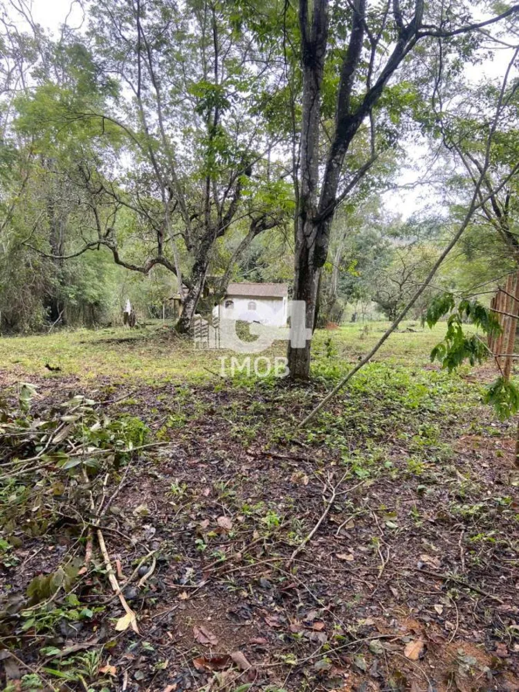 Terreno, 2500 m² - Foto 6