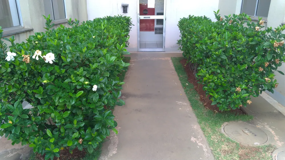 Apartamento, 2 quartos, 46 m² - Foto 14