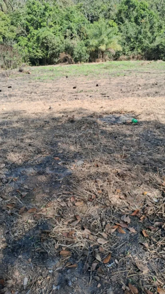 Terreno, 1000 m² - Foto 2