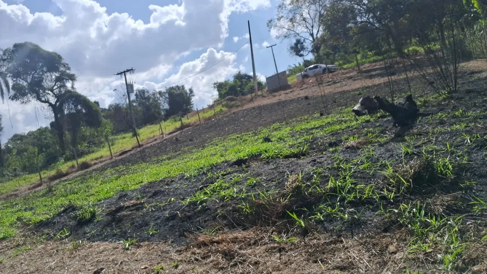 Terreno, 1000 m² - Foto 4