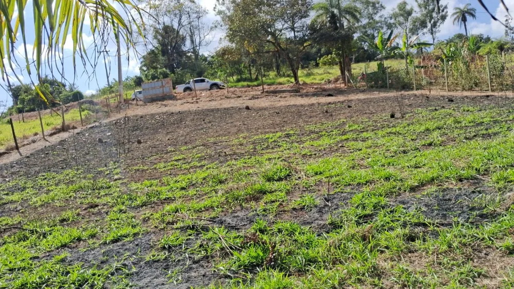 Terreno, 1000 m² - Foto 6